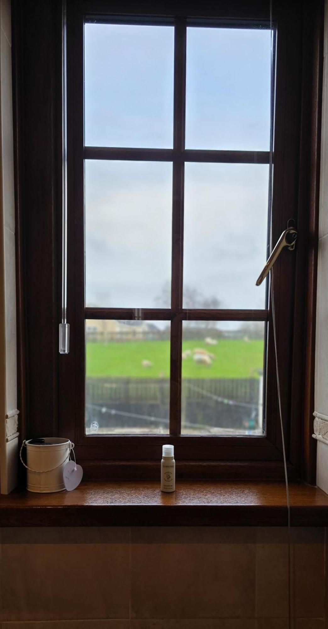 Drumhirk House Newtownards Esterno foto